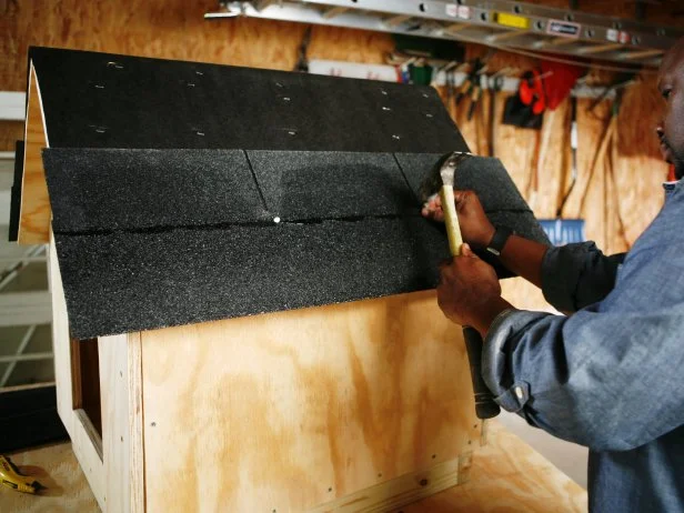 Doghouse construction project, while man nails the shingles into the top of the roof of the frame. 