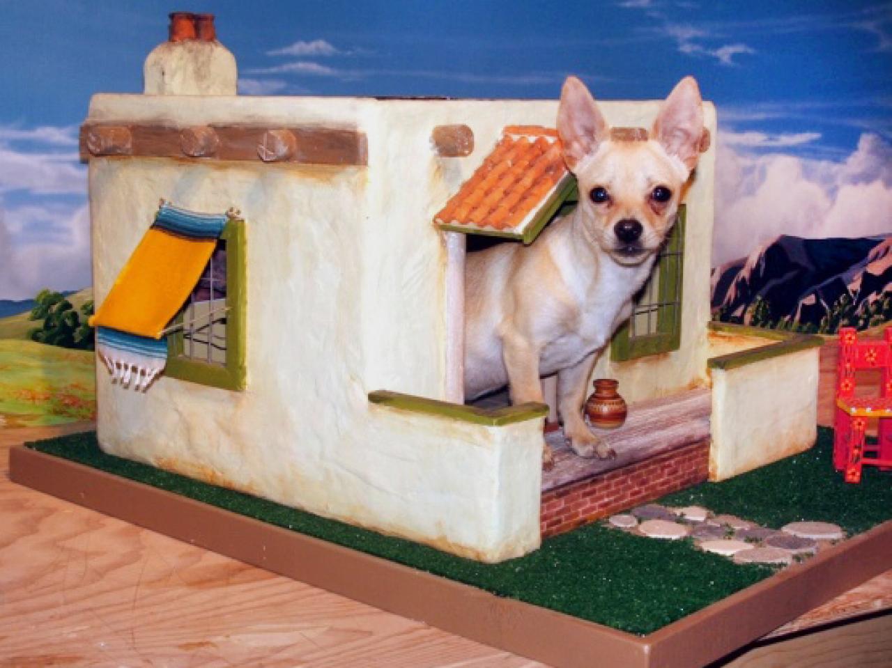 Chihuahua's Pueblo Doghouse DIY
