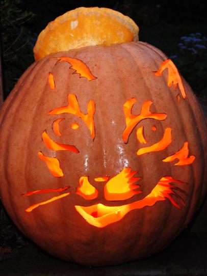 10 Amazing Jack O Lantern Masterpieces Diy