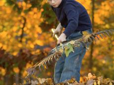 Boy in jeans and blue shirt and glasses rakes leaves during the fall. 