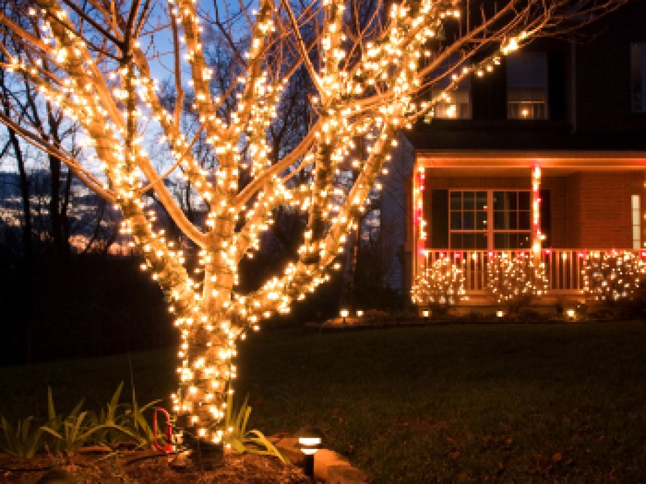 Led Outdoor Tree Lights, How To Put Light On Outdoor Trees