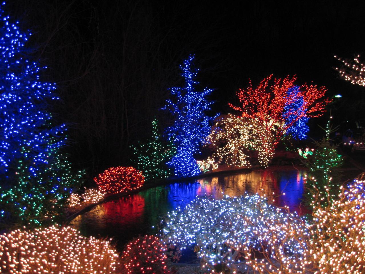 holiday lights for trees