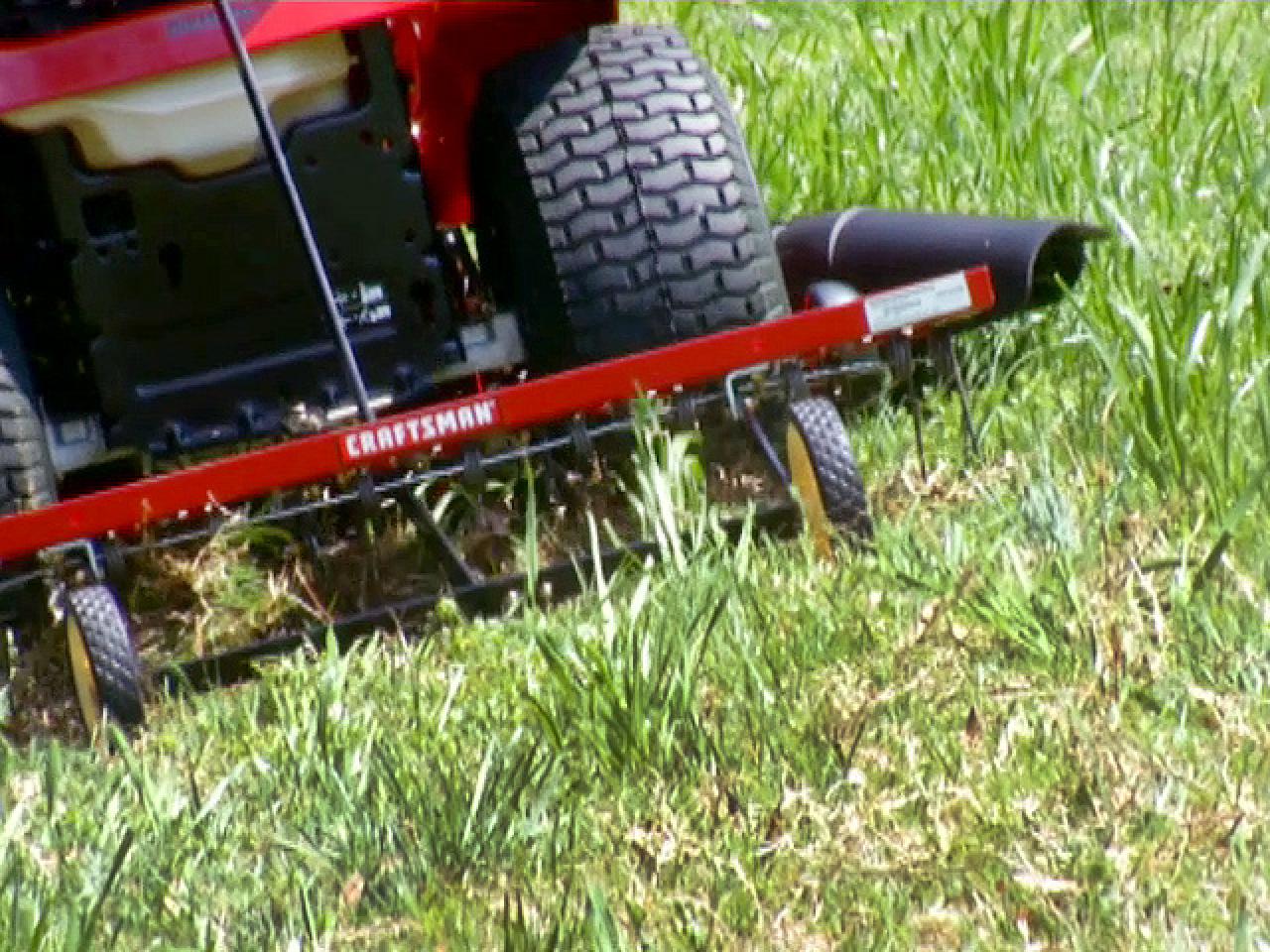 How To Remove Lawn Thatch Diy