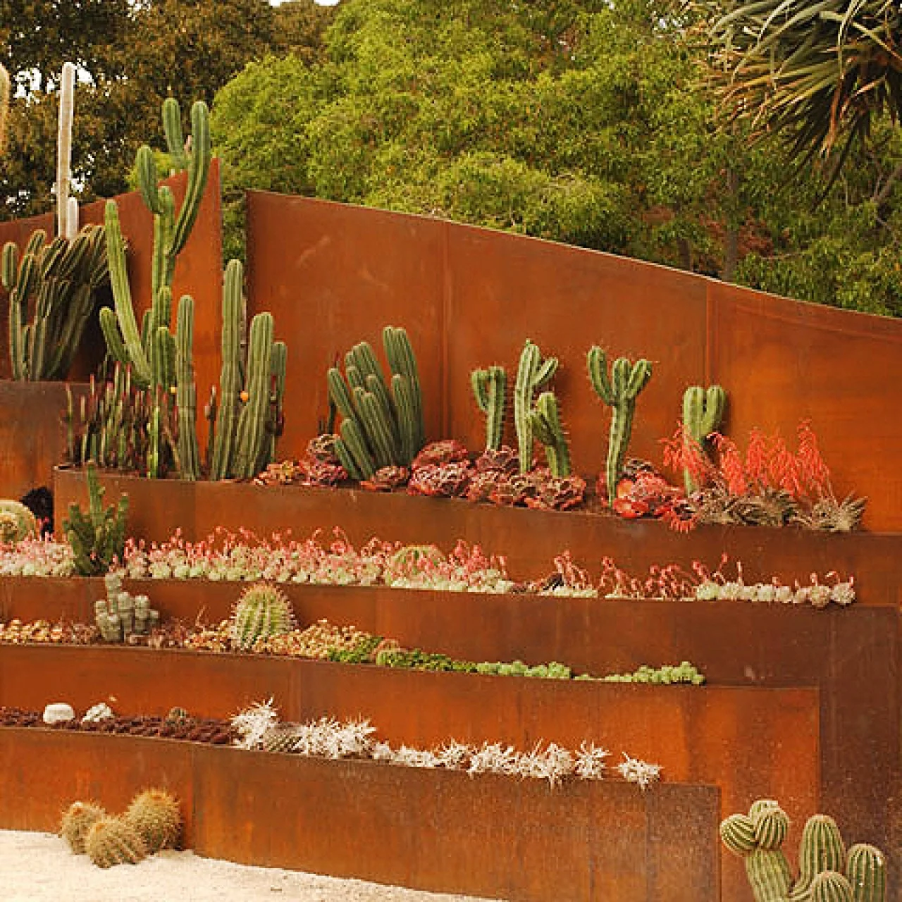 Gardening Ideas for Dry Landscapes | HGTV, image size:1280x1280