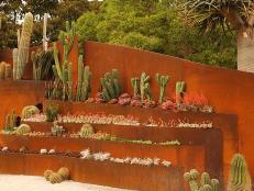 Clay Colored Walls Lined with Succulents 