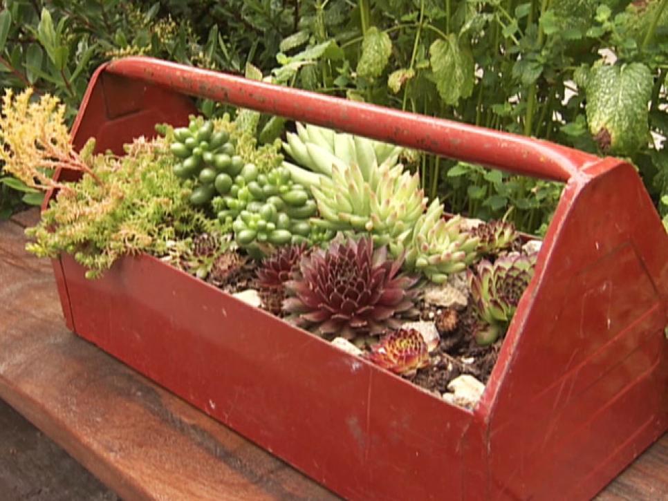 10 Unusual And Upcycled Container Gardens Diy