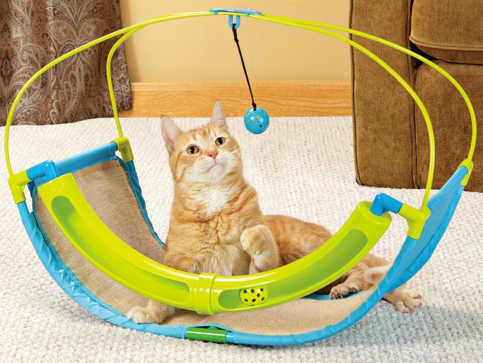 toys for cats and dogs to play together