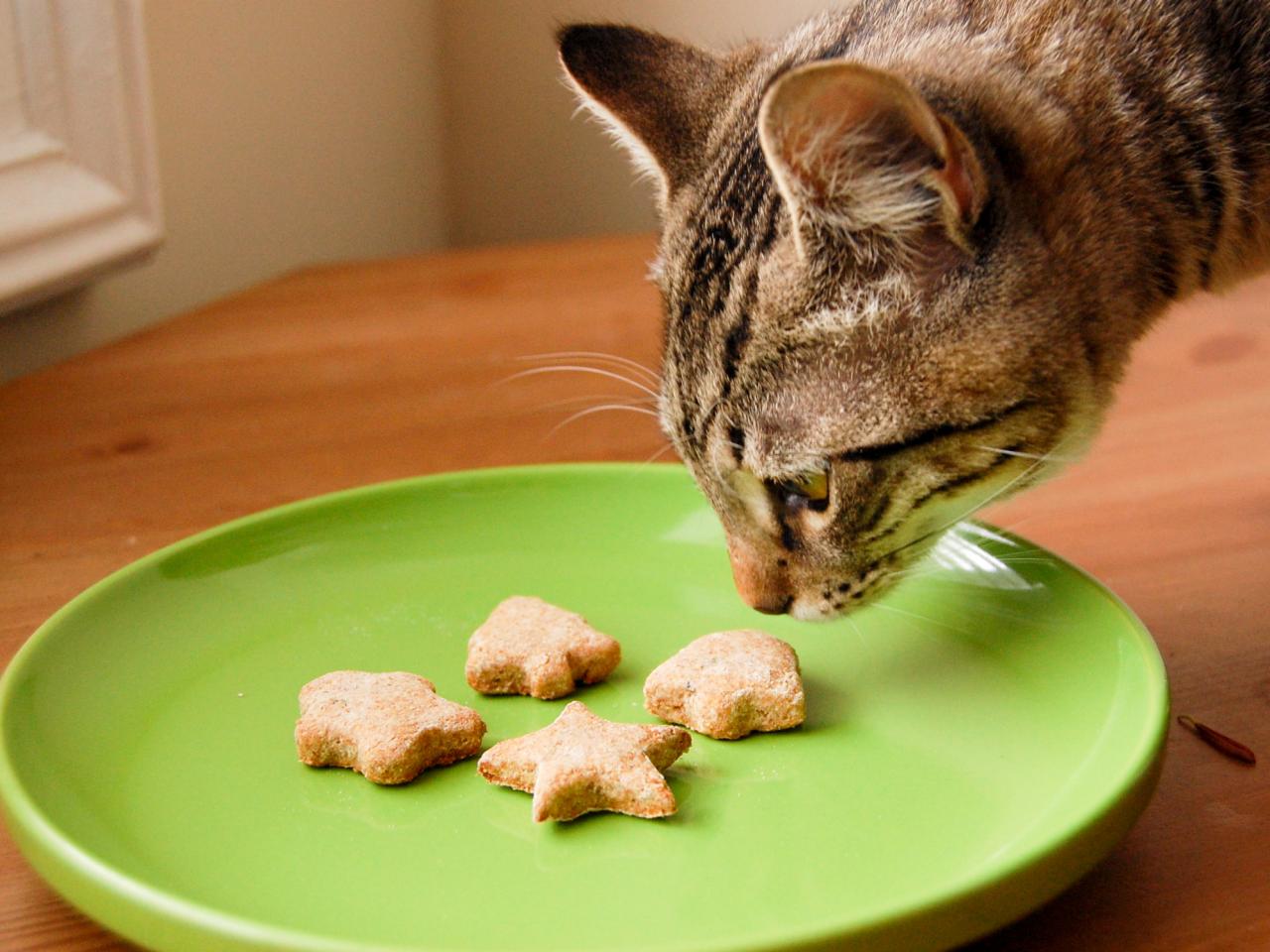 can puppies eat cat treats