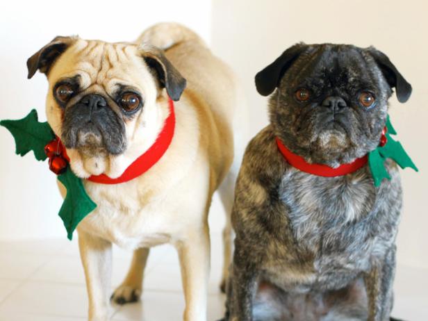 CI-Carla-Wiking_Christmas-dog-collars-pugs_h