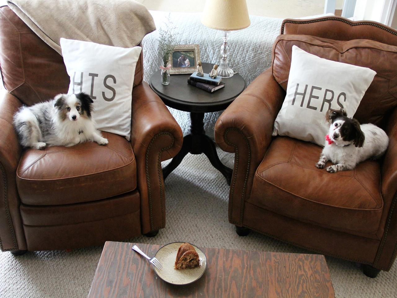 leather furniture with dogs