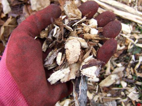 What Is Mulch and Which Mulch Should You Use?