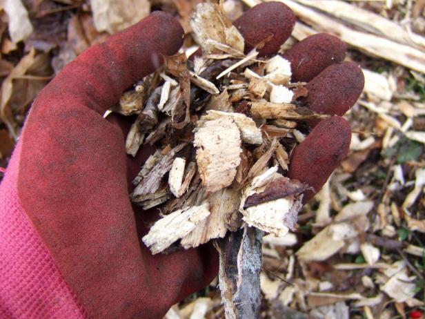 CI-Julie-A-Martens_wood-chip-mulch_s4x3