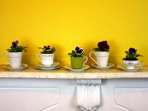 How To Use Teacups As Planters How Tos Diy