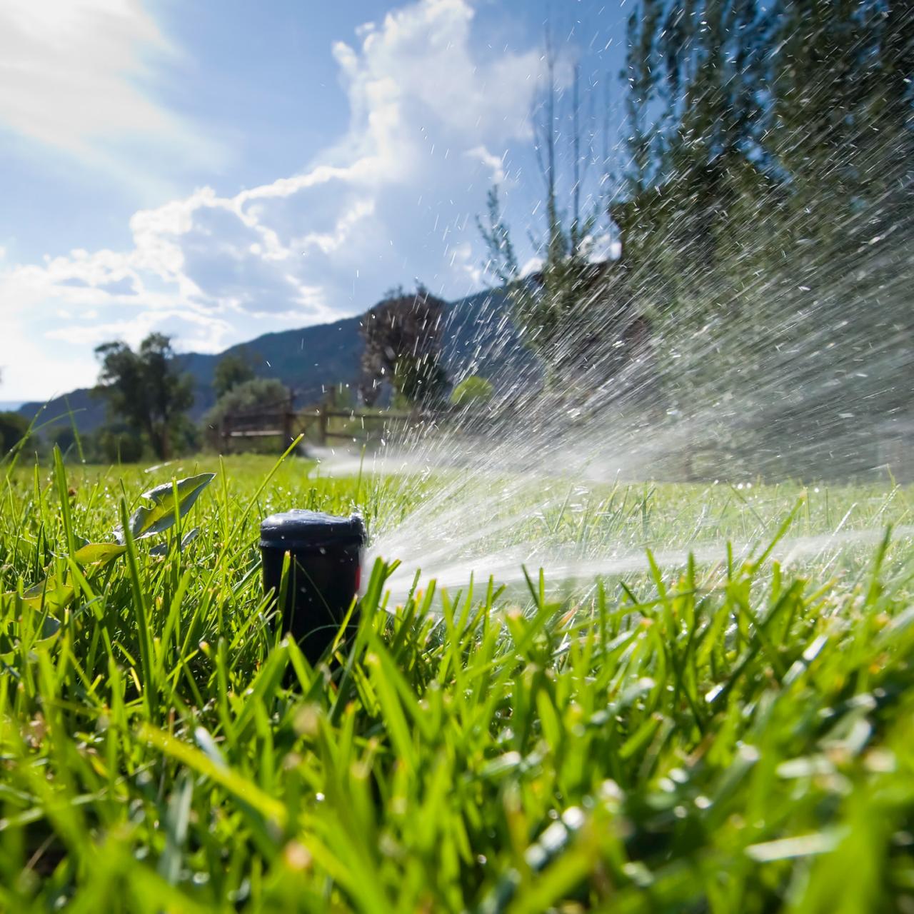 Maximum Home Value Landscaping Projects: Irrigation and Water