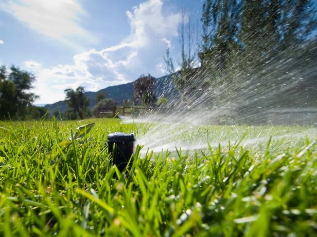 Lawn Sprinkler Spraying Water in Backyard — low volume, low angle heads