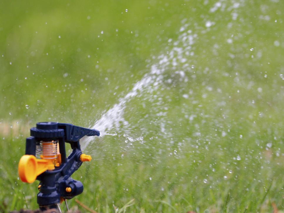 Learn The Right Way To Water Your Lawn Hgtv