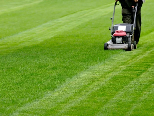 How were Lawns Mowed before Lawn Mowers: Surprising Old Methods Revealed