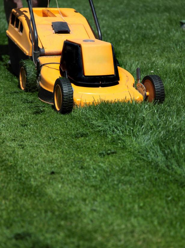 Lawn Mower Cutting Grass