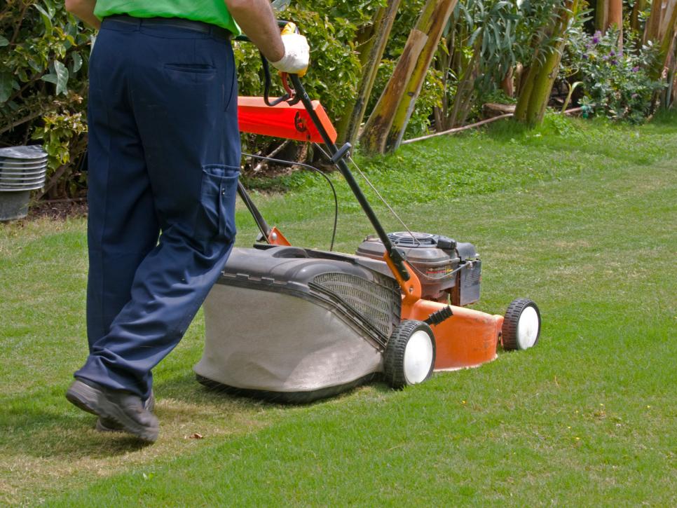 lawn mowing and maintenance