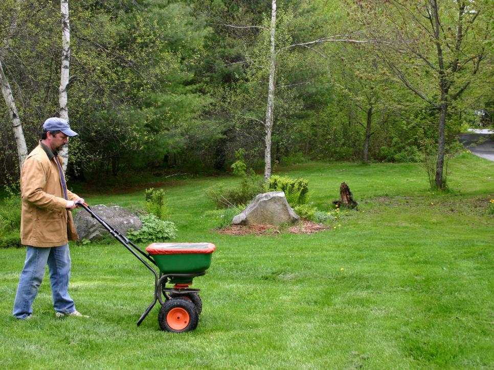 spring lawn treatment