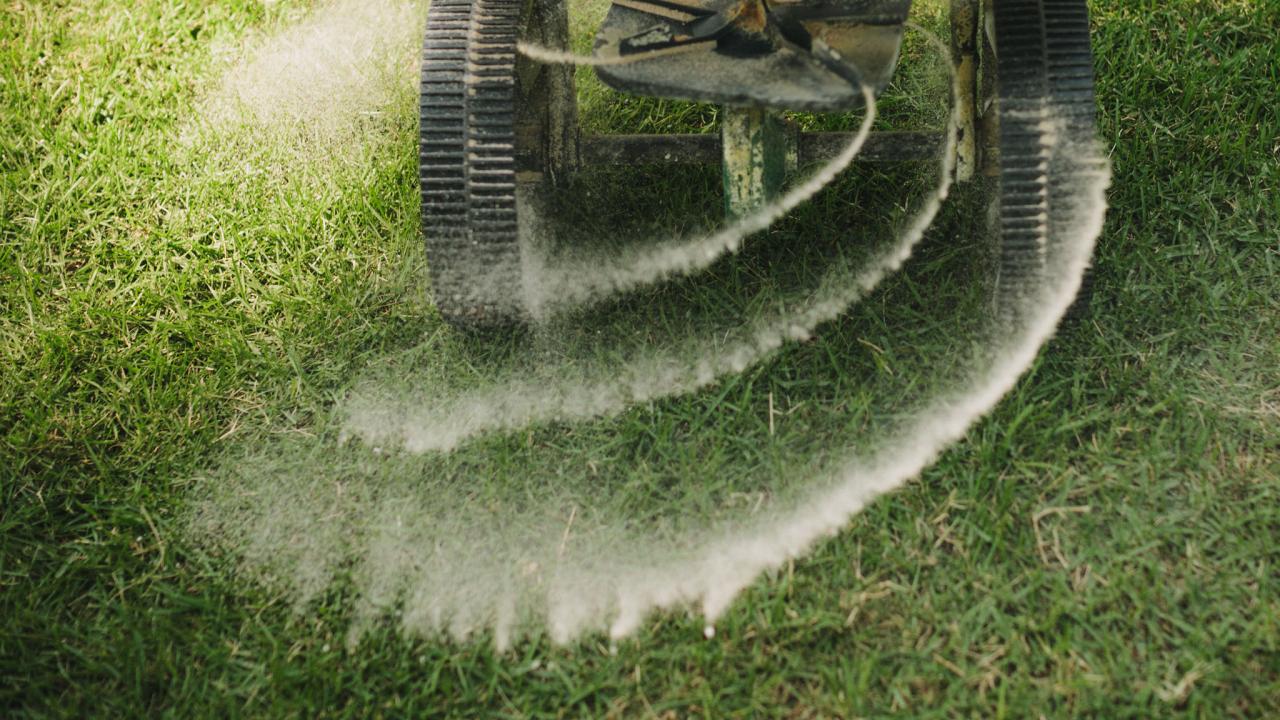 Lawn Weed Control Ut