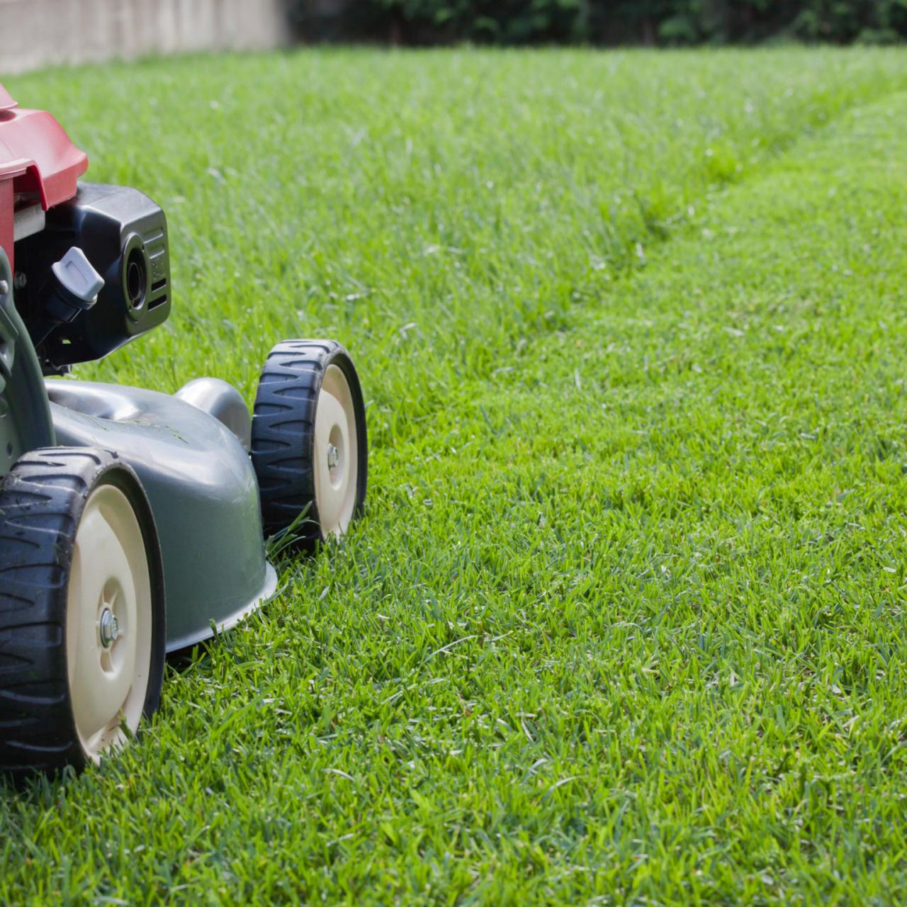 Lawn mowing new arrivals service round rock