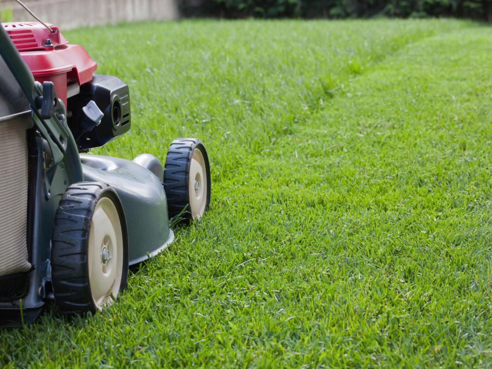 Lawn Care Provo Utah