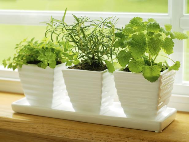 How To Plant And Grow Herbs Indoors, Kitchen Herb Garden Windowsill Planter With Seeds