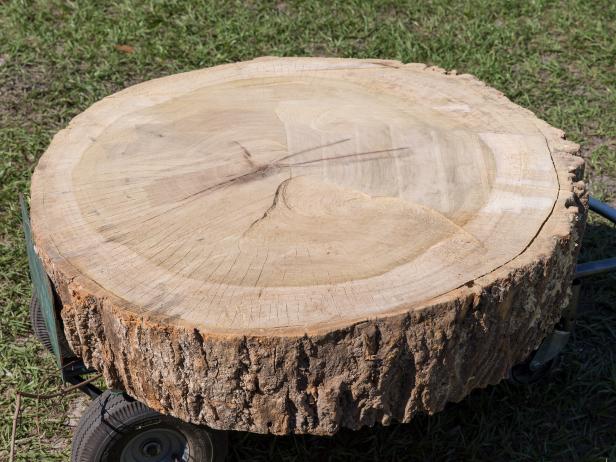 How To Build A Stump Coffee Table, Outdoor Wood Stump Coffee Table