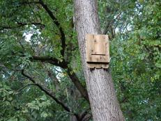 A cedar bat house installed in a tree.