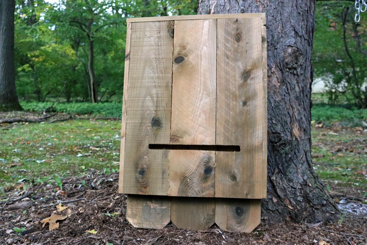 How to Build a Bat House how-tos DIY