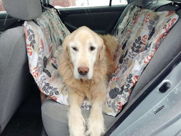 Learn How To Make A Diy Pet Car Hammock, How To Make A Dog Car Seat Cover