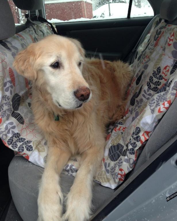 Learn How To Make A Diy Pet Car Hammock Tos - Dog Car Seat Sewing Pattern