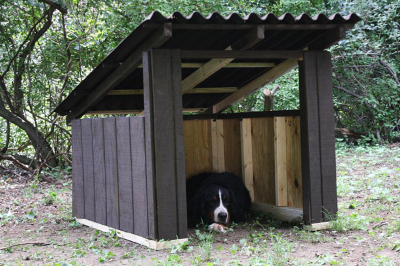 How To Build A Modern Dog House, Outdoor Dog House Designs