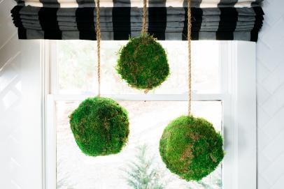 How To Make Hanging Topiary Spheres Out Of Moss How Tos Diy