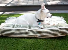 If your pet's bed is looking worn and tatty, use inexpensive rugs to create a stylish slipcover for your furry friend's favorite resting spot.