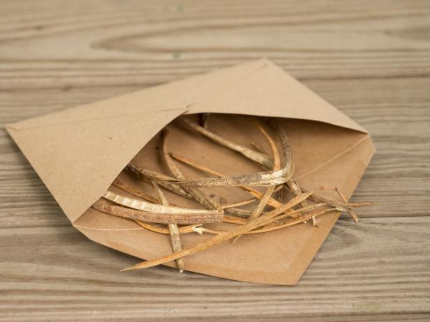 bean pods in a brown paper envelope