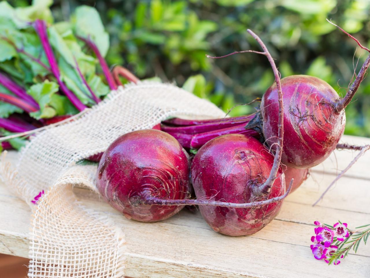 The Best Type of Red Beet Varieties | DIY