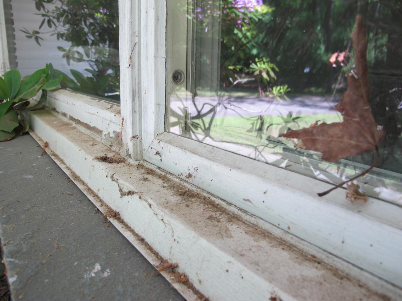 How to Pressure Wash Windows | how-tos | DIY