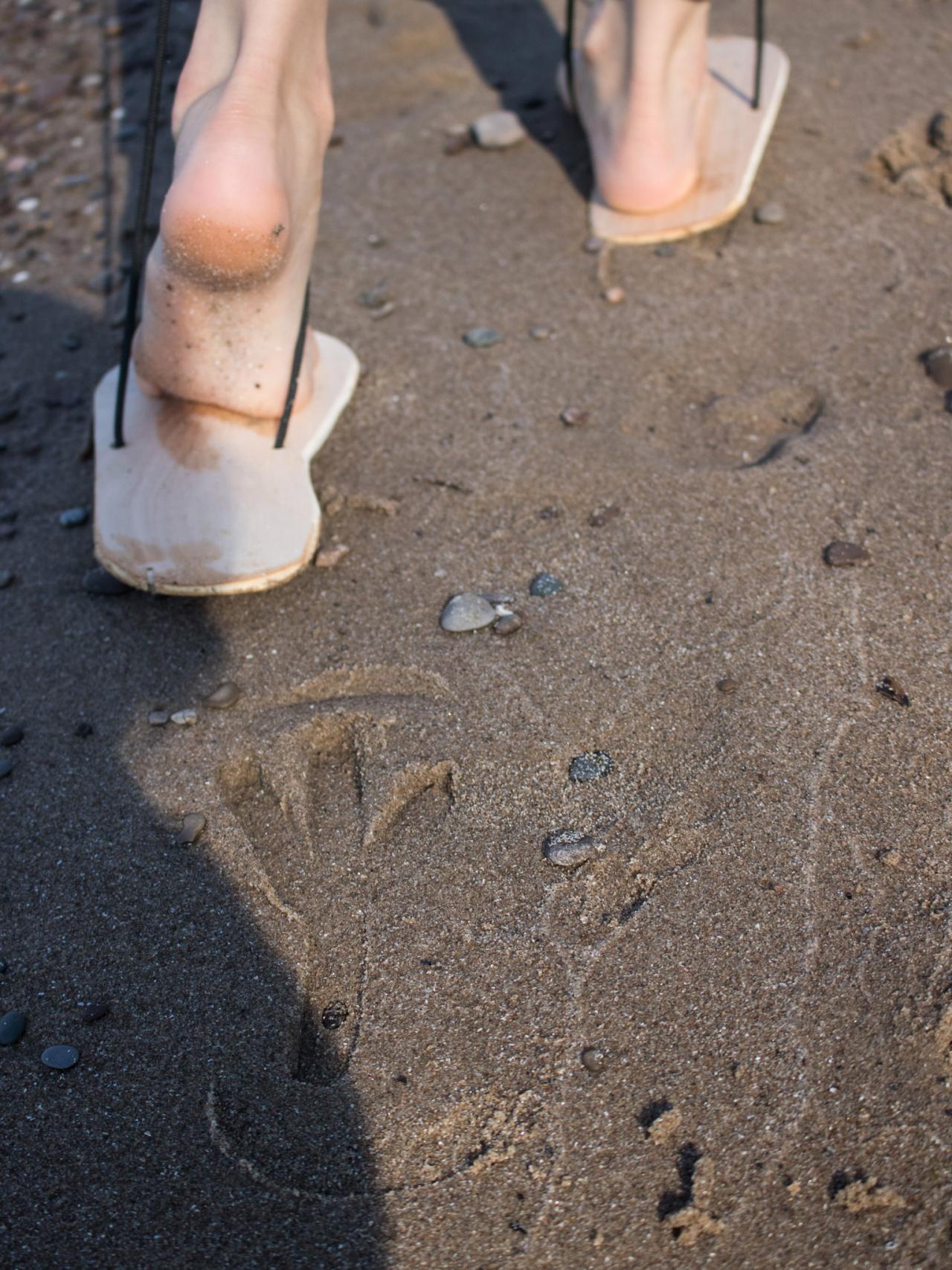 DIY Animal Footprints for a Day at the Beach DIY Network 