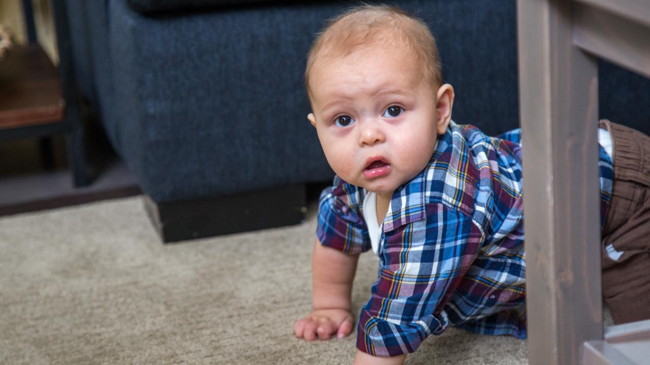 How to Baby-Proof Your Refrigerator 