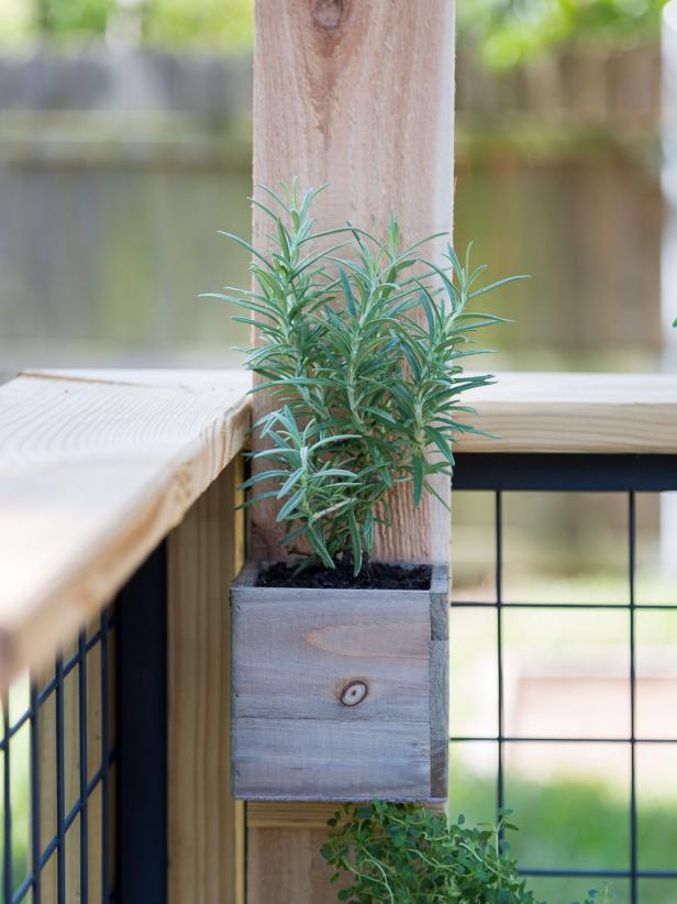 Create a plant filled privacy screen