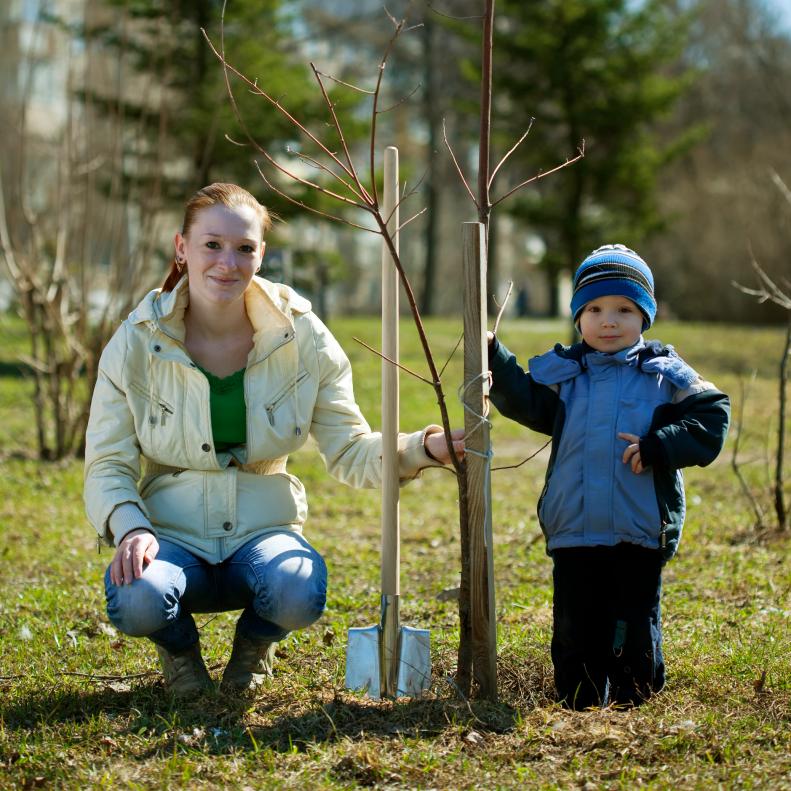 mother and son with spade outdoors planting  tree