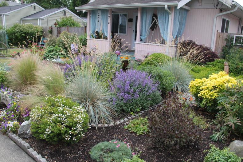 Cottage Garden With Perennials and Blue Fescue