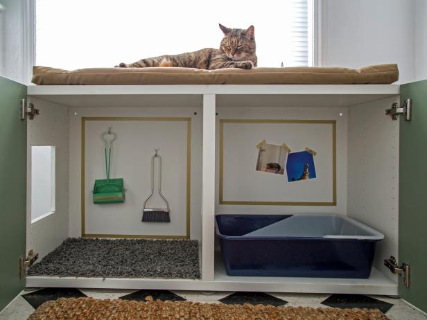 litter box in bathroom cabinet