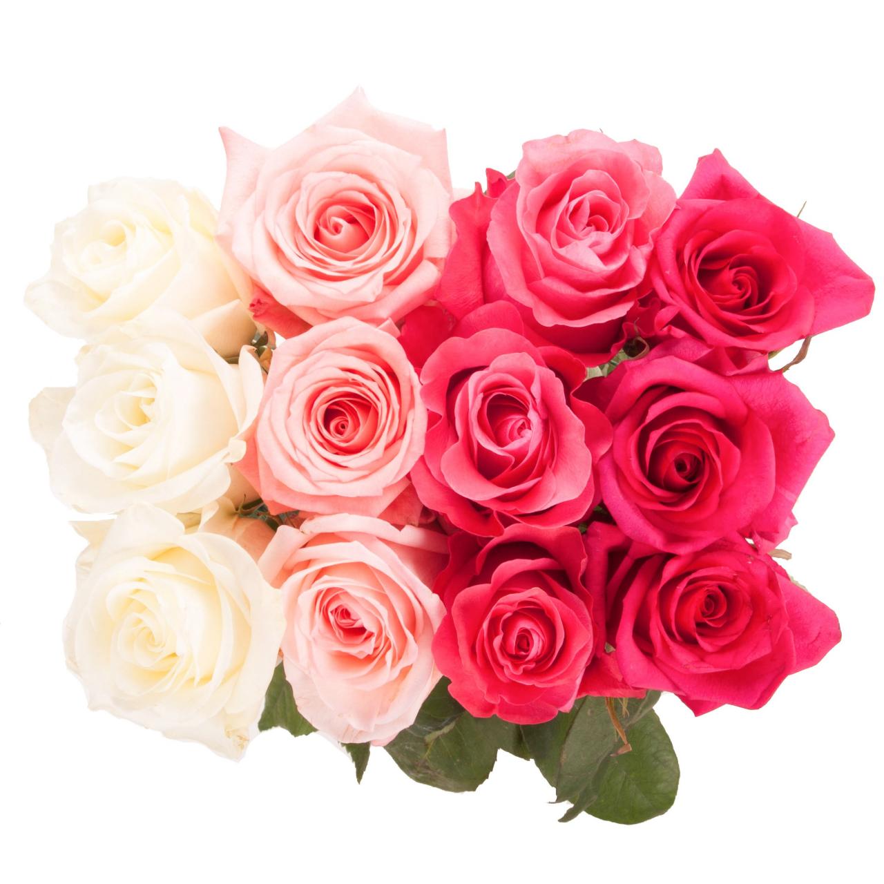 Symbolic Meaning of Roses: A Complete Guide – Persa Flores