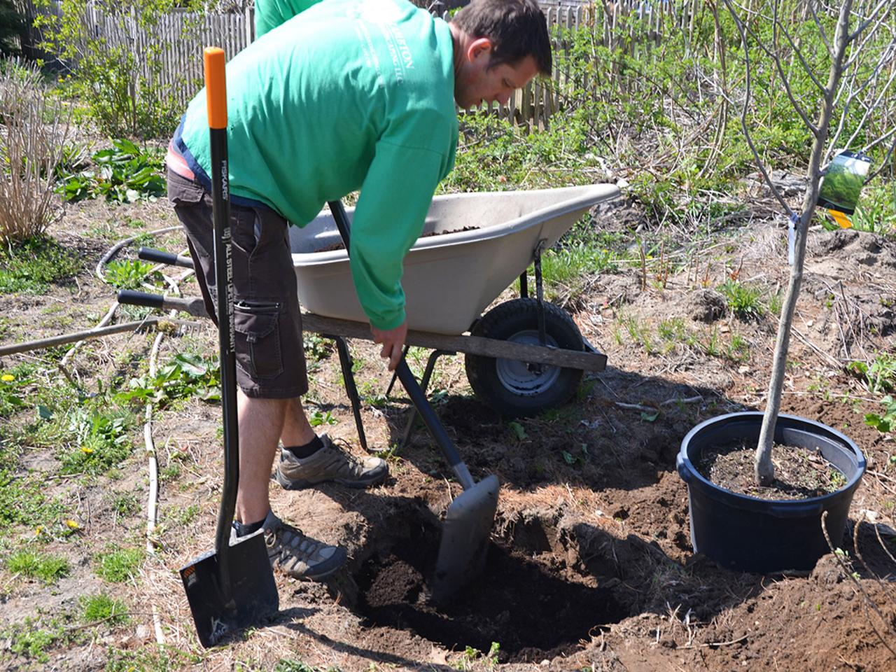 Planting a Native Tree with Fiskars Shovels and Tools | how-tos | DIY