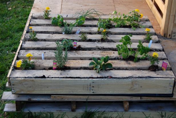 How To Plant An Herb Garden In A Salvage Wood Pallet How Tos Diy