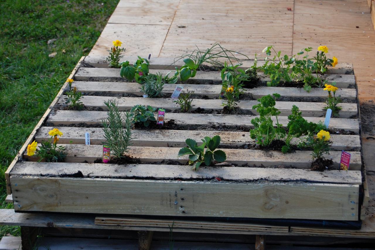 How To Plant An Herb Garden In A Salvage Wood Pallet How Tos Diy