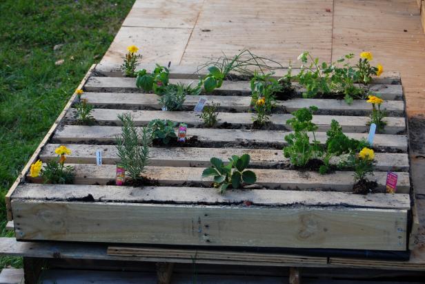 How to Plant an Herb Garden in a Salvage Wood Pallet how ...